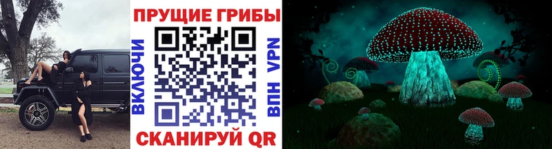 Псилоцибиновые грибы мицелий  Еманжелинск 